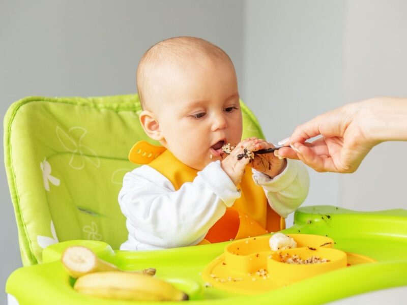 Tamamlayıcı Beslenme